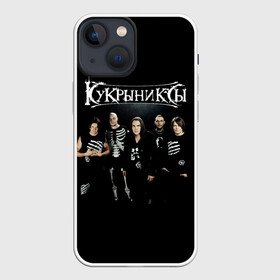 Чехол для iPhone 13 mini с принтом Рок группа Кукрыниксы в Белгороде,  |  | gorshenev | kukryniksy | rock group | алексей горшенёв | альтернативный | вагон | горшенев | горшок | готик | дмитрий оганян | игорь воронов | кукрыниксы | михаил фомин | панк | панкрок | постпанк | рок группа