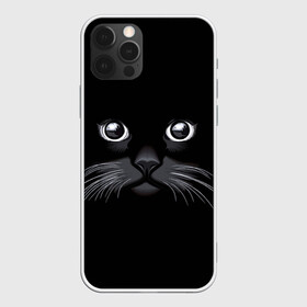 Чехол для iPhone 12 Pro с принтом Кот Журбей в Белгороде, силикон | область печати: задняя сторона чехла, без боковых панелей | большие глаза | голова кота | милота. | мордочка | настроение | позитив | усики | черный