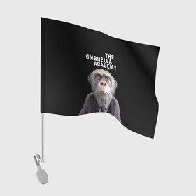 Флаг для автомобиля с принтом Пого | Академия Амбрелла (Z) в Белгороде, 100% полиэстер | Размер: 30*21 см | dark horse comics | pogo | the umbrella academy | umbrella | академия амбрелла | комикс | комильфо | пого