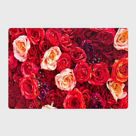 Магнитный плакат 3Х2 с принтом Букет роз в Белгороде, Полимерный материал с магнитным слоем | 6 деталей размером 9*9 см | Тематика изображения на принте: большие | букет | девушкам | красивые | пышные | розы | цветы | яркие