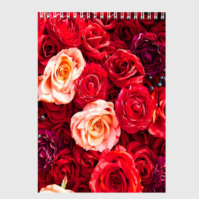 Скетчбук с принтом Букет роз в Белгороде, 100% бумага
 | 48 листов, плотность листов — 100 г/м2, плотность картонной обложки — 250 г/м2. Листы скреплены сверху удобной пружинной спиралью | большие | букет | девушкам | красивые | пышные | розы | цветы | яркие