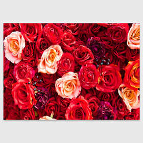Поздравительная открытка с принтом Букет роз в Белгороде, 100% бумага | плотность бумаги 280 г/м2, матовая, на обратной стороне линовка и место для марки
 | Тематика изображения на принте: большие | букет | девушкам | красивые | пышные | розы | цветы | яркие
