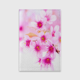 Обложка для паспорта матовая кожа с принтом Весеннее цветение вишни в Белгороде, натуральная матовая кожа | размер 19,3 х 13,7 см; прозрачные пластиковые крепления | Тематика изображения на принте: бутоны | весна | девушкам | красивые | розовые | сакура | цветение | цветы | яблоня