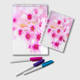 Блокнот с принтом Весеннее цветение вишни в Белгороде, 100% бумага | 48 листов, плотность листов — 60 г/м2, плотность картонной обложки — 250 г/м2. Листы скреплены удобной пружинной спиралью. Цвет линий — светло-серый
 | Тематика изображения на принте: бутоны | весна | девушкам | красивые | розовые | сакура | цветение | цветы | яблоня