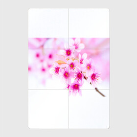 Магнитный плакат 2Х3 с принтом Весеннее цветение вишни в Белгороде, Полимерный материал с магнитным слоем | 6 деталей размером 9*9 см | бутоны | весна | девушкам | красивые | розовые | сакура | цветение | цветы | яблоня
