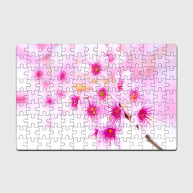 Головоломка Пазл магнитный 126 элементов с принтом Весеннее цветение вишни в Белгороде, полимерный материал с магнитным слоем | 126 деталей, размер изделия —  180*270 мм | Тематика изображения на принте: бутоны | весна | девушкам | красивые | розовые | сакура | цветение | цветы | яблоня
