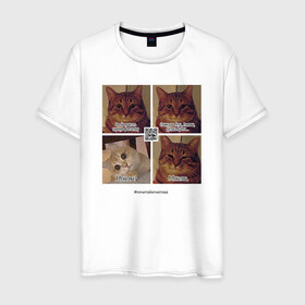Мужская футболка хлопок с принтом Котики фантаста в Белгороде, 100% хлопок | прямой крой, круглый вырез горловины, длина до линии бедер, слегка спущенное плечо. | cats | humour | joke | meme | sarcasm | writers | коты | мем | писатели | сарказм | юмор