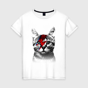 Женская футболка хлопок с принтом Серый кот с молнией в Белгороде, 100% хлопок | прямой крой, круглый вырез горловины, длина до линии бедер, слегка спущенное плечо | cat | кис кис | киска | кися | котенок | коты | котэ | кошки | молния | усы