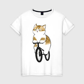 Женская футболка хлопок с принтом Котик на велосипеде в Белгороде, 100% хлопок | прямой крой, круглый вырез горловины, длина до линии бедер, слегка спущенное плечо | Тематика изображения на принте: арт | велосипед | ветер | кот | котёнок | кошка | милая кошка | милый кот | милый котёнок | отдых | отдыхает | пончик | рисунок