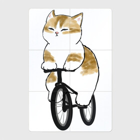 Магнитный плакат 2Х3 с принтом Котик на велосипеде в Белгороде, Полимерный материал с магнитным слоем | 6 деталей размером 9*9 см | арт | велосипед | ветер | кот | котёнок | кошка | милая кошка | милый кот | милый котёнок | отдых | отдыхает | пончик | рисунок