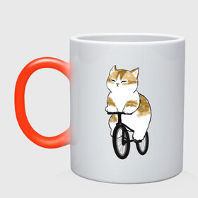 Кружка хамелеон с принтом Котик на велосипеде в Белгороде, керамика | меняет цвет при нагревании, емкость 330 мл | арт | велосипед | ветер | кот | котёнок | кошка | милая кошка | милый кот | милый котёнок | отдых | отдыхает | пончик | рисунок