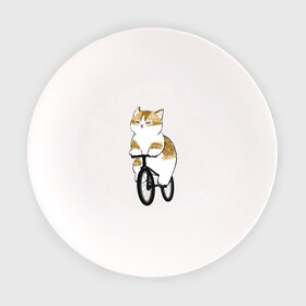 Тарелка с принтом Котик на велосипеде в Белгороде, фарфор | диаметр - 210 мм
диаметр для нанесения принта - 120 мм | Тематика изображения на принте: арт | велосипед | ветер | кот | котёнок | кошка | милая кошка | милый кот | милый котёнок | отдых | отдыхает | пончик | рисунок