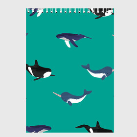 Скетчбук с принтом Нарвал, киты, касатка паттерн в Белгороде, 100% бумага
 | 48 листов, плотность листов — 100 г/м2, плотность картонной обложки — 250 г/м2. Листы скреплены сверху удобной пружинной спиралью | изумрудно зеленый цвет | касатки | киты | морская фауна | морские животные | морские жители | нарвал | океан | паттерн