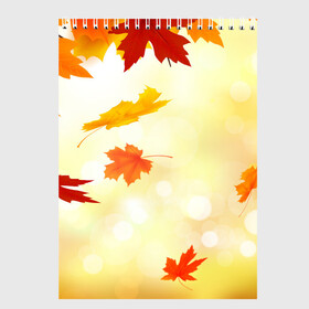 Скетчбук с принтом ПАДАЮЩИЙ КЛЕН | ОСЕННЯЯ (Z) в Белгороде, 100% бумага
 | 48 листов, плотность листов — 100 г/м2, плотность картонной обложки — 250 г/м2. Листы скреплены сверху удобной пружинной спиралью | Тематика изображения на принте: autumn | golden time | leaves | maple | yellow | желтая | золотая пора | клён | листья | осенняя | осень | падающий клен