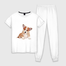 Женская пижама хлопок с принтом Fluffy Corgi в Белгороде, 100% хлопок | брюки и футболка прямого кроя, без карманов, на брюках мягкая резинка на поясе и по низу штанин | corgi | dog | fluffy | puppy | корги | милый | пушистый | собака | щенок
