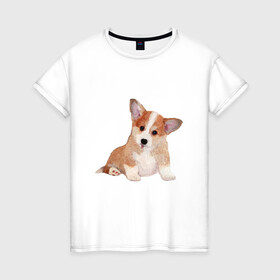 Женская футболка хлопок с принтом Fluffy Corgi в Белгороде, 100% хлопок | прямой крой, круглый вырез горловины, длина до линии бедер, слегка спущенное плечо | corgi | dog | fluffy | puppy | корги | милый | пушистый | собака | щенок