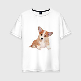 Женская футболка хлопок Oversize с принтом Fluffy Corgi в Белгороде, 100% хлопок | свободный крой, круглый ворот, спущенный рукав, длина до линии бедер
 | corgi | dog | fluffy | puppy | корги | милый | пушистый | собака | щенок