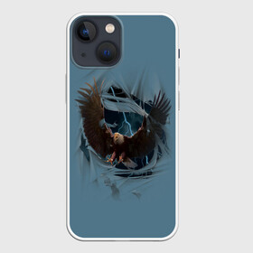 Чехол для iPhone 13 mini с принтом ОРЕЛ СКВОЗЬ ТКАНЬ в Белгороде,  |  | animal | bird | eagle | hunter | power | гордый | гроза | животные | звери | молния | мощь | орел | природа | птица | сила | хищник