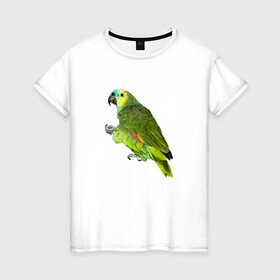 Женская футболка хлопок с принтом Попугайчик в Белгороде, 100% хлопок | прямой крой, круглый вырез горловины, длина до линии бедер, слегка спущенное плечо | bird | parrot | wings | крылья | попугай | птица