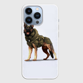 Чехол для iPhone 13 Pro с принтом Служебная собака | К9 | K9 в Белгороде,  |  | dog | doggy | k9 | аусси | дог | друзья | ищейка | к9 | кинолог | кинология | любовь | овчарка | прикольная | розыскная собака | служебная собака | собака | собачница