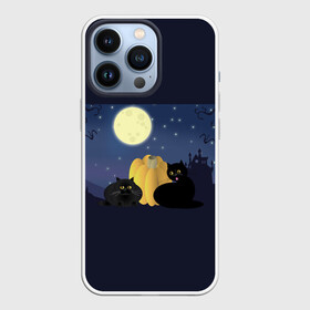 Чехол для iPhone 13 Pro с принтом Котострашилка в Белгороде,  |  | halloween | helloween | ведьма | котики | мистика | мистический дом | ночь | страшно | тыква | хеллоуин | хэллоуин