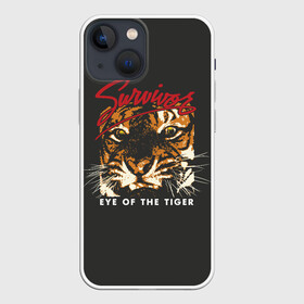 Чехол для iPhone 13 mini с принтом Глаз Тигра в Белгороде,  |  | eye of the tiger | hardrock | music | rock | tiger | глаз тигра | музыка | рок | тигр | хардрок