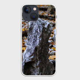 Чехол для iPhone 13 mini с принтом Осенняя лень в Белгороде,  |  | апатия | вдохновение | грусть | депрессия | желтый | камень | камни | камушек | кризис | лень | листочек | листья | осень | природа | сезон | творчество | усталость