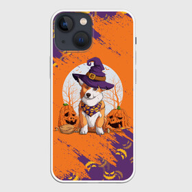 Чехол для iPhone 13 mini с принтом КОРГИ НА ХЭЛЛОУИНЕ в Белгороде,  |  | corgi | halloween | haloween | корги | пёс | рыжая | рыжая собака | собака | собакен | собачка | собачуха | хеллоин | хеллоуин | хелоин | хелоуин | хэллоин | хэллоуин | хэлоин | хэлоуин