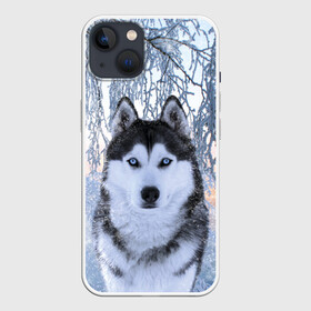 Чехол для iPhone 13 с принтом Хаски В Зимнем Лесу в Белгороде,  |  | dog | forest | husky | winter | зима | лес | новый год | снег | собака | хаски