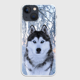Чехол для iPhone 13 mini с принтом Хаски В Зимнем Лесу в Белгороде,  |  | dog | forest | husky | winter | зима | лес | новый год | снег | собака | хаски