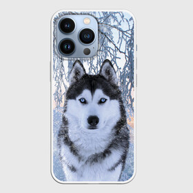 Чехол для iPhone 13 Pro с принтом Хаски В Зимнем Лесу в Белгороде,  |  | dog | forest | husky | winter | зима | лес | новый год | снег | собака | хаски