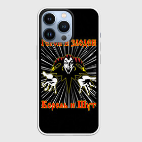 Чехол для iPhone 13 Pro с принтом Герои и Злодеи (КиШ) в Белгороде,  |  | anarchy | hard rock | heavy metal | punk rock | punks not dead | rock music | rocknroll | russian rock | анархия | горшок | князь | король и шут | металлист | михаил горшенёв | панк | панк рок | рок музыка | рокер | рокнролл | русский рок