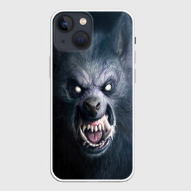 Чехол для iPhone 13 mini с принтом ВОЛК ОБОРОТЕНЬ в Белгороде,  |  | animals | hunter | monster | wolf | волк | звери | зверь | клыки | монстр | оборотень | оскал | охотник | пасть | хищник | шерсть