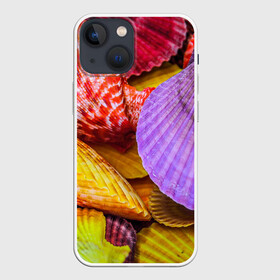 Чехол для iPhone 13 mini с принтом Разноцветные ракушки  multicolored seashells в Белгороде,  |  | holiday | multicolored seashells | sea | sea house | summer | лагуна | лето | моллюск | море | морская тема | морские обитатели | морские ракушки | морской пляж | океан | отпуск | перламутр | пляж | подводный мир