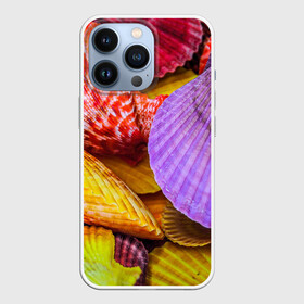 Чехол для iPhone 13 Pro с принтом Разноцветные ракушки  multicolored seashells в Белгороде,  |  | holiday | multicolored seashells | sea | sea house | summer | лагуна | лето | моллюск | море | морская тема | морские обитатели | морские ракушки | морской пляж | океан | отпуск | перламутр | пляж | подводный мир