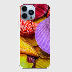 Чехол для iPhone 13 Pro Max с принтом Разноцветные ракушки  multicolored seashells в Белгороде,  |  | holiday | multicolored seashells | sea | sea house | summer | лагуна | лето | моллюск | море | морская тема | морские обитатели | морские ракушки | морской пляж | океан | отпуск | перламутр | пляж | подводный мир