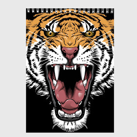 Скетчбук с принтом Оскал амурского тигра в Белгороде, 100% бумага
 | 48 листов, плотность листов — 100 г/м2, плотность картонной обложки — 250 г/м2. Листы скреплены сверху удобной пружинной спиралью | Тематика изображения на принте: 2022 | amur tiger | beast | merry christmas | new year | open mouth | predator | stern grin | year of the tiger | амурский тигр | год тигра | зверь | новый год | открытая пасть | суровый оскал | хищник