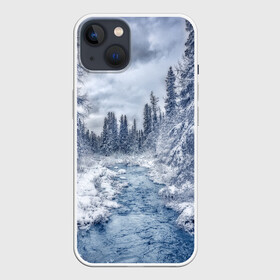 Чехол для iPhone 13 с принтом СНЕЖНЫЙ ПЕЙЗАЖ в Белгороде,  |  | fores | ice | snow | white | winter | белый | вода | зима | иней | красота | лед | лес | мороз | небо | новый год | пейзаж | природа | река | ручей | снег