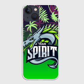 Чехол для iPhone 13 с принтом Team Spirit тропические листья. в Белгороде,  |  | cs go | dota | dota 2 | team spirit | tropick | дракон | киберспорт | кс го | спирит | тим спирит | тропик | тропические листья