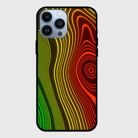 Чехол для iPhone 13 Pro Max с принтом КАРТОГРАФИЧЕСКАЯ ПРОЕКЦИЯ в Белгороде,  |  | abstract | geometry | geometry stripes | texture | абстракция | географическая карта | геодезист | геодезические по | геометрические полосы | геометрия | карта | картографическая проекция | професия | профессия