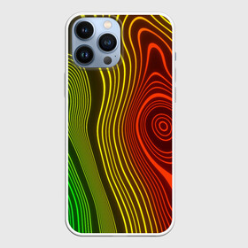 Чехол для iPhone 13 Pro Max с принтом КАРТОГРАФИЧЕСКАЯ ПРОЕКЦИЯ в Белгороде,  |  | abstract | geometry | geometry stripes | texture | абстракция | географическая карта | геодезист | геодезические по | геометрические полосы | геометрия | карта | картографическая проекция | професия | профессия