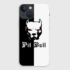 Чехол для iPhone 13 mini с принтом Pit Bull (боец) в Белгороде,  |  | boxer | bulldog | fighting dog | pit bull | барбос | бобик | бойцовская собака | бойцовский пес | боксер | бульдог | волкодав | год со | друг человека | животное | зверь | ищейка | кинолог | кость | лайка | лапы | лев | пес