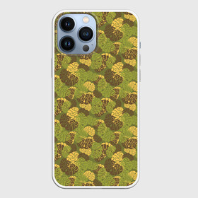 Чехол для iPhone 13 Pro Max с принтом Мозги (камуфляж) в Белгороде,  |  | camouflage | milit | айтишник | босс | вебмастер | вторая вселенная | голова | головной мозг | извилины | интеллект | информатика | камуфляж | компьютер | милитари | мозжечок | память | программист