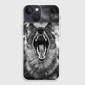 Чехол для iPhone 13 mini с принтом Волчья пасть, зевает в Белгороде,  |  | wolf | wolfs | волк | волка | волки | волчара | волчья | животные | звери | зевает | лес | оскал | пасть | природа