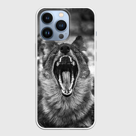 Чехол для iPhone 13 Pro с принтом Волчья пасть, зевает в Белгороде,  |  | wolf | wolfs | волк | волка | волки | волчара | волчья | животные | звери | зевает | лес | оскал | пасть | природа