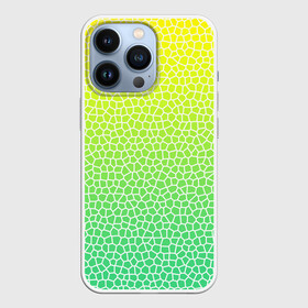 Чехол для iPhone 13 Pro с принтом Витражная мозаика в Белгороде,  |  | витраж | градиент | зеленое стекло | зеленый | зеленый радуга | зеленый сети | лимон | мозаика | радуга | светло зеленый | соты | яркий