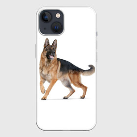 Чехол для iPhone 13 с принтом немчики в Белгороде,  |  | german shepherd | немец | немецкая овчарка | служебник | собака