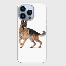 Чехол для iPhone 13 Pro с принтом немчики в Белгороде,  |  | german shepherd | немец | немецкая овчарка | служебник | собака