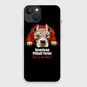 Чехол для iPhone 13 с принтом Американский Питбультерьер (Pit Bull) в Белгороде,  |  | american pit bull terrier | boxer | bulldog | fighting dog | pit bull | американский питбультерьер | бойцовская собака | бойцовский пес | боксер | бульдог | волкодав | друг человека | кинолог | пес | питбуль | питбультерьер