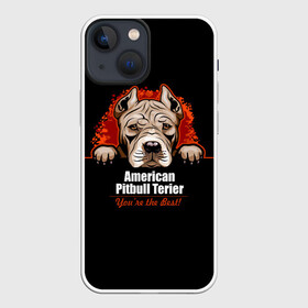 Чехол для iPhone 13 mini с принтом Американский Питбультерьер (Pit Bull) в Белгороде,  |  | american pit bull terrier | boxer | bulldog | fighting dog | pit bull | американский питбультерьер | бойцовская собака | бойцовский пес | боксер | бульдог | волкодав | друг человека | кинолог | пес | питбуль | питбультерьер